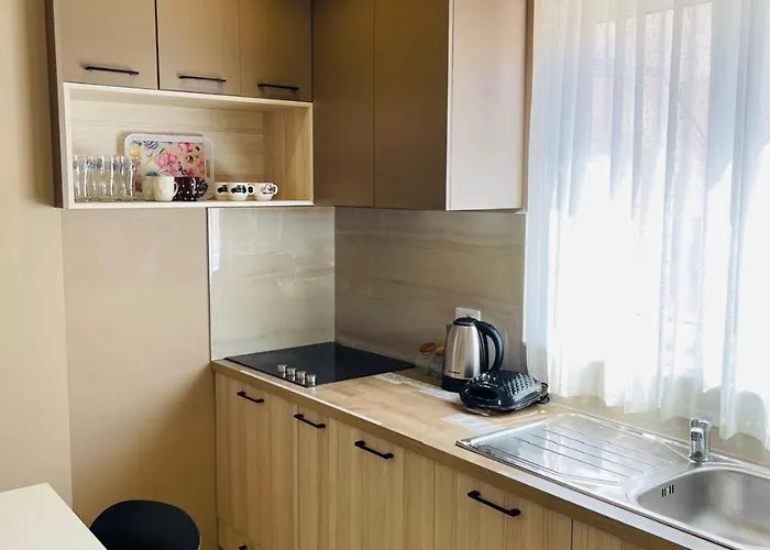 Eliona Apartament *